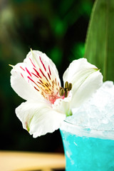 A close-up of a blue hawaii cocktail in a hurricane glass garnished with a banana leaf and flower