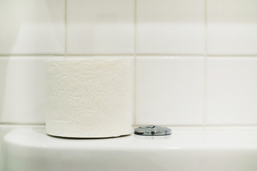 toilet roll in restroom on toilet bowl