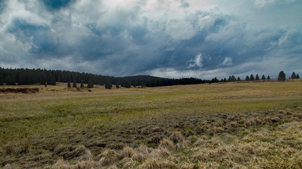 natural landscape in chech ore mountains