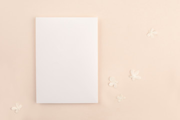  Romantic wedding blank invitation card mock up on soft pink background with small white flowers....
