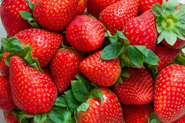 Composition of fresh strawberries