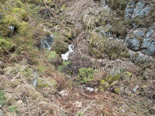 former tin mine in czech ore mounteins
