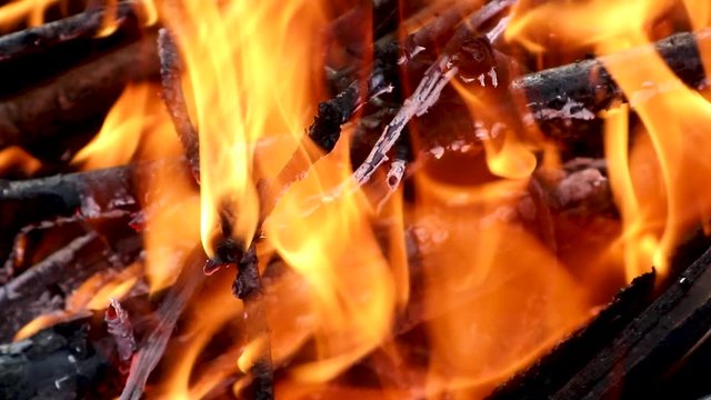 Hot red orange wood fire on branches burning close