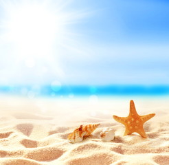 Fototapeta na wymiar Landscape with starfish and shell on tropical beach. Summer concept.