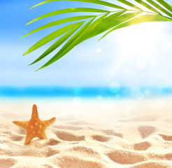 Fototapeta na wymiar Summer beach with starfish on sand and tropical palm leaf.