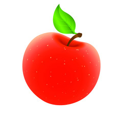 
Delicious food isolate without background