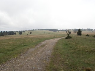 natural landscape in chech ore mountains