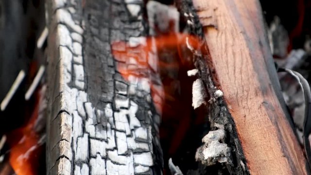 Burning wood grey coal log with hot red orange fire burning close-up. Warm flames on charcoal slow-motion video