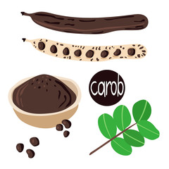 Ripe Carob pods, leaves, seeds and carob powder on the white background. Cartoon flat vector illustration. Superfood healthy food set