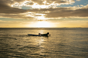 Naklejka premium surfer boy at sunset on the sea