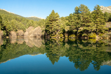 Fototapeta na wymiar reflection of trees in the water of a mountain lake