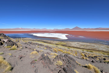 The Red "Colorada Lagune" lagoon on Atacama in Bolivia