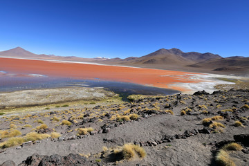 The Red "Colorada Lagune" lagoon on Atacama in Bolivia © zientas