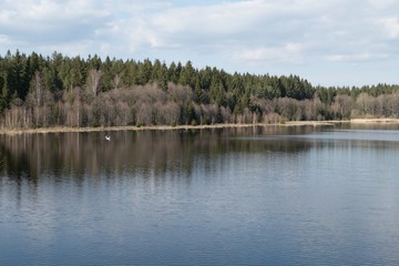 Fototapeta na wymiar beautiful lake in the forest
