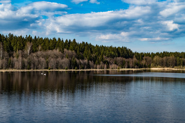 Fototapeta na wymiar beautiful lake in the forest
