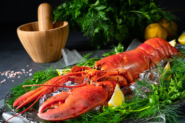 the cooked lobster on ice