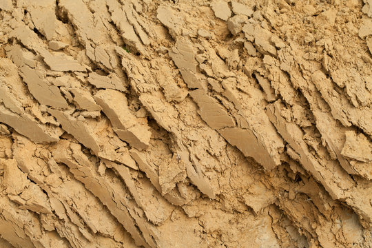 A layer of land. Background image with the texture of the earth. Photo of a slice of the earth's surface.