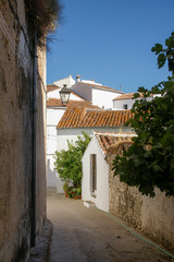 bonita calle rural del municipio de Alpandeire, Málaga