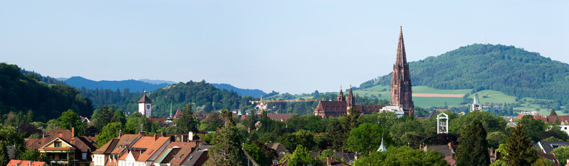 Freiburg im Breisgau, Panorama