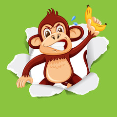 Background template design with wild monkey on green paper
