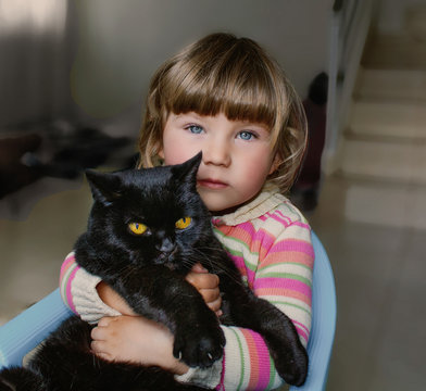 A beautiful little girl with blue eyes is holding a black cat. Friendship with pets. Close-up.