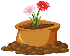 Colorful flowers in brown bag on white background