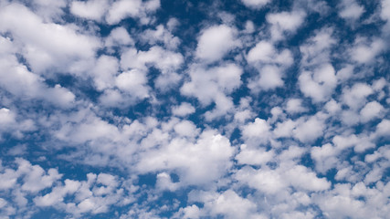 Fototapeta premium Scattered white clouds in the blue sky.