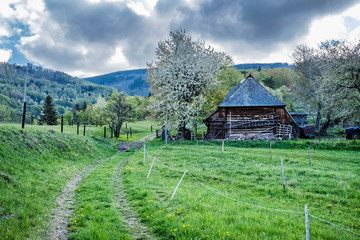 Rural landscape, Muranska Zdychava, Slovakia, seasonal natural scene