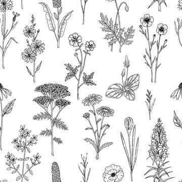 Hand drawn meadow flowers seamless pattern. Vector illustration in sketch style