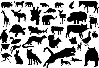 
Animal silhouettes for web design
