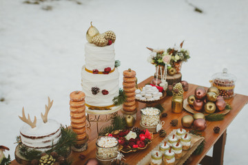 Wedding candy table. Wedding winter cake in the snow. Close up.