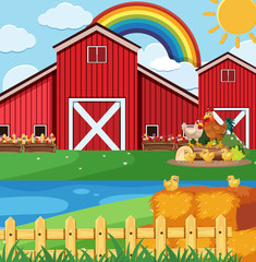 Fototapeta premium Farm scene with many chickens on the farm