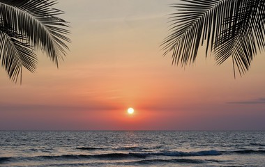 Fototapeta na wymiar Summer tropical beach sunset with palm tree leaves silhouette 