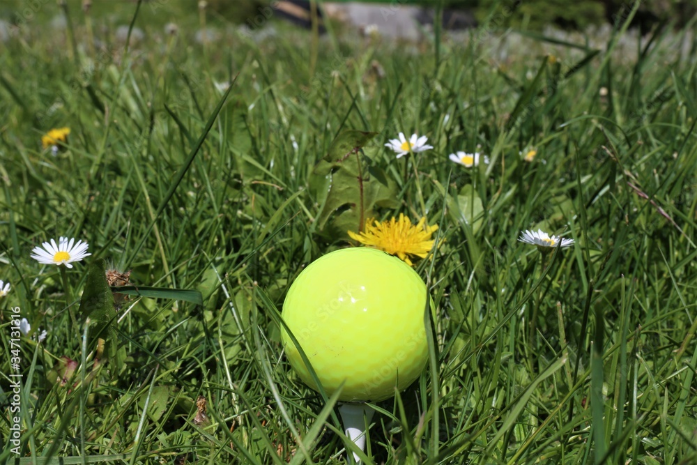 Wall mural yellow easter egg on grass