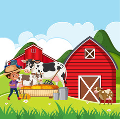 Farm scene with farmboy feeding cow with hay