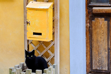 Black cat, standing on a wooden pot, underneath a vivid yellow mailbox