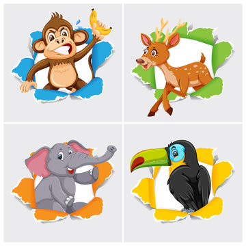 Background template design with wild animals