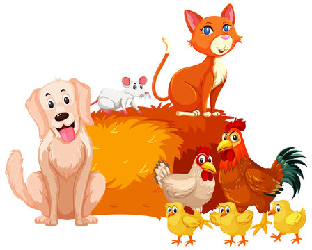 Farm animals with chickens and other pets