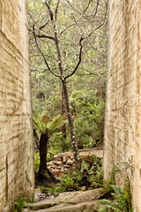 Sections of the abandoned Mount Paris Dam Tasmania