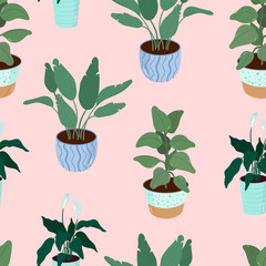 Seamless Pattern with houseplants in pots. Home flowers. Set of Vector illustration for print, fabric, textile