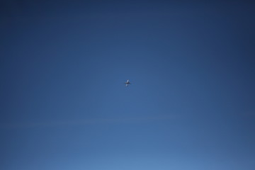 Plane flying in the sky