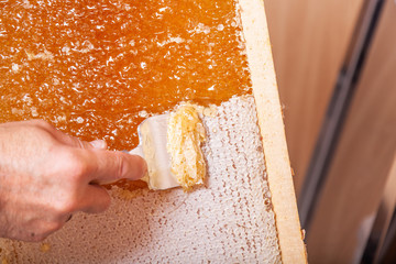 The process of extracting honey from bee honeycombs - 347138703
