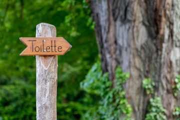 Hölzerner Wegweiser für öffentliche Toilette an Holzpfahl in Wald oder Park zeigt den Weg zum Toilettenhäuschen, Abort, Waschraum und Urinal für kleines und großes Geschäft sauber entsorgte Fäkalien