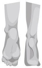 Beautiful drawing of the soles of the feet. Gray colors