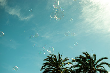 Photo of two palm trees with some bubbles surrounded by a blue sky. Tropical vibes concept.