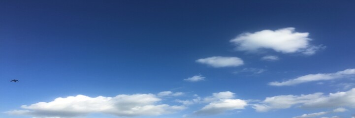 Fototapeta premium clouds, sky blue background. cloud blue sky.