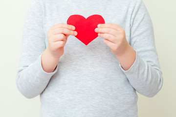 Closeup of hands of child holding red paper heart on white background. Red heart in child's hands.