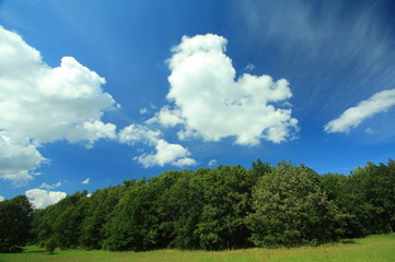 green field and blue sky