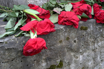 withered red roses on the poet's monument