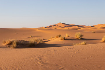 Fototapeta na wymiar Desierto Erg Chebbi, Sahara, Marruecos. Desierto de Sahara en Merzouga